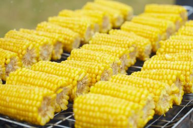 Izgarada mısır koçanı 