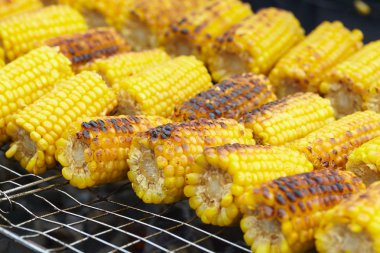 Izgarada mısır koçanı 