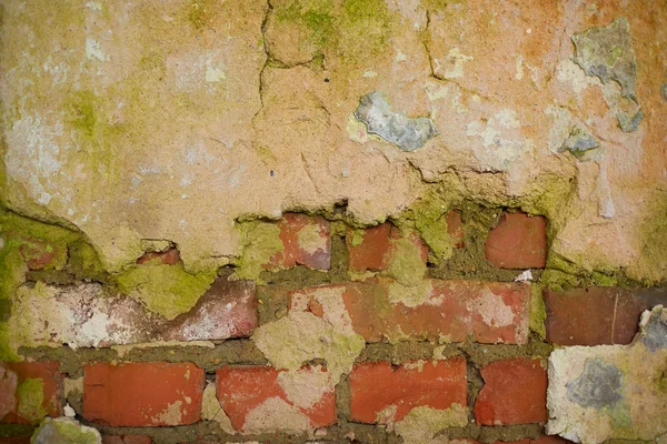 eski tuğla duvar dokusu