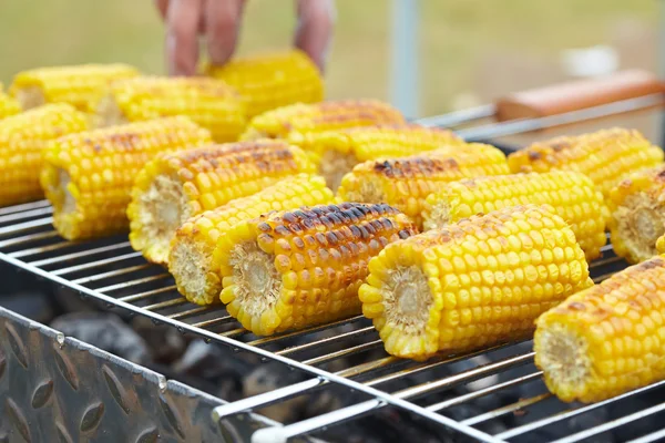 Maïskolven op grill — Stockfoto