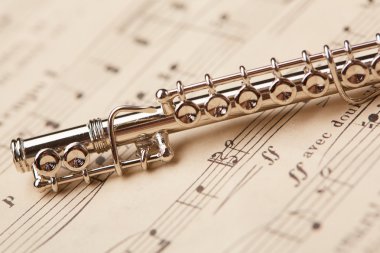 flüt notları içinde belgili tanımlık geçmiş