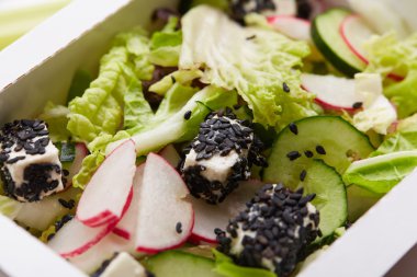 peynir, turp, salatalık salatası