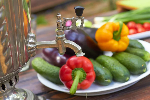 Verduras frescas para picnic — Foto de Stock