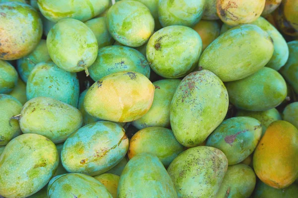 Green mango fruits — Stock Photo, Image