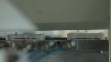 Şeker kutuları ve fabrika