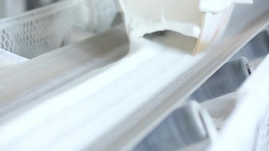 Konveyör üzerine dökülen şeker