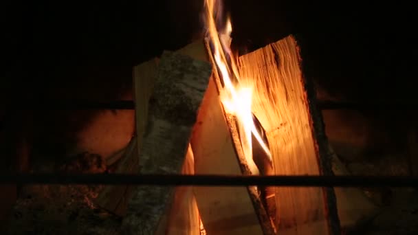 Vreugdevuur vlammen met Logboeken — Stockvideo