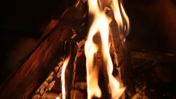 Костер пламя с дровами — стоковое видео