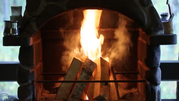 Lagerfeuer lodert mit Baumstämmen — Stockvideo