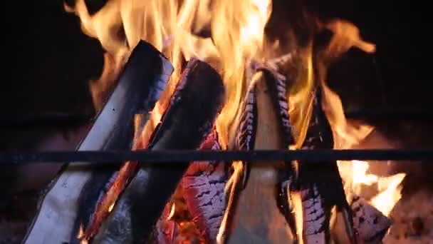 Brinnande eld i öppna spisen — Stockvideo