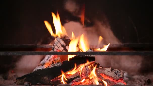 Quema de fuego en la chimenea — Vídeo de stock