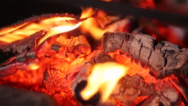 Brinnande eld i öppna spisen — Stockvideo