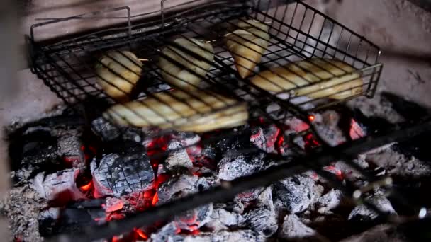 Kebab gebarbecued vlees — Stockvideo