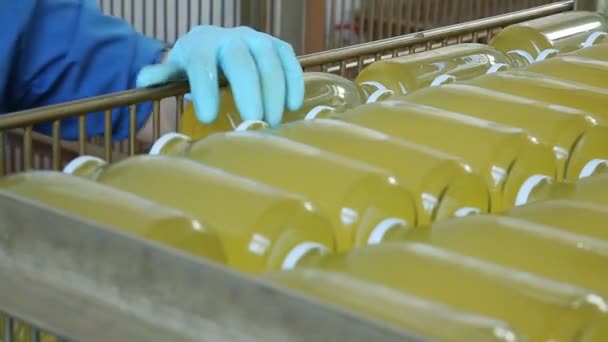Garrafas de suco de embalagem na planta — Vídeo de Stock