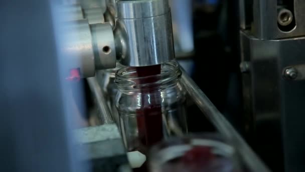 Verpackung und Herstellung von Marmelade — Stockvideo