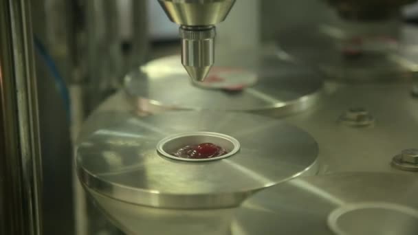 Embalaje y fabricación de mermelada — Vídeo de stock