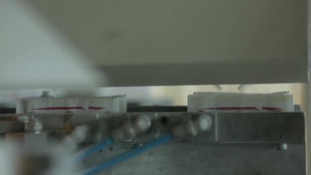 Socker lådor på fabriken — Stockvideo
