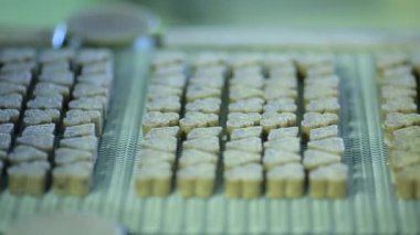 rafine şekilli şeker