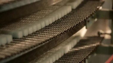 rafine şekilli şeker