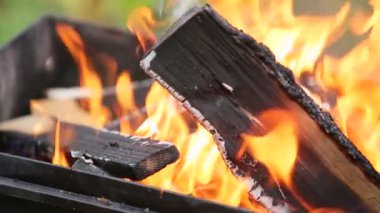 Yaz ormandaki şenlik ateşi