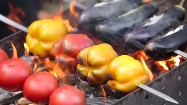 Heerlijke groenten op grill — Stockvideo
