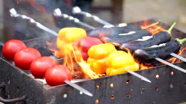 Verduras kebabs en gril — Vídeos de Stock