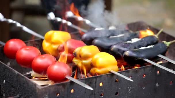 Verduras kebabs en gril — Vídeos de Stock