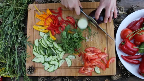 Human hands cutting ripe vegetables — Stock Video