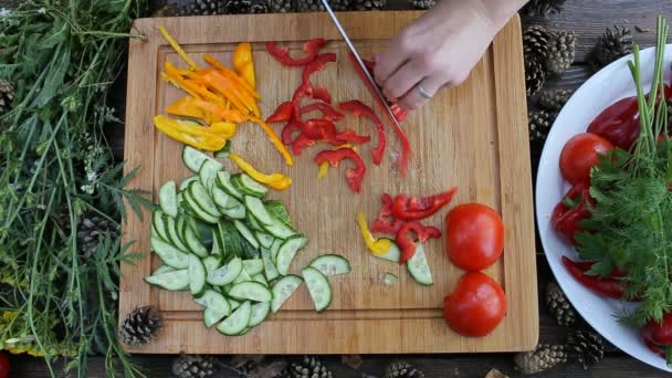 Manos humanas cortando verduras maduras — Vídeo de stock