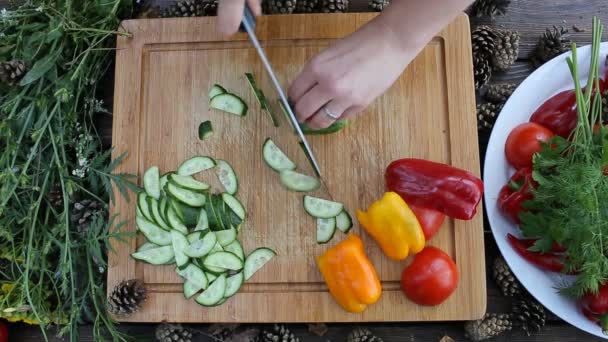 Manos humanas cortando verduras maduras — Vídeos de Stock
