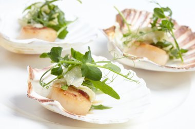 Fistolar, soğan rezene, otlar