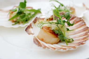 Fistolar, soğan rezene, otlar