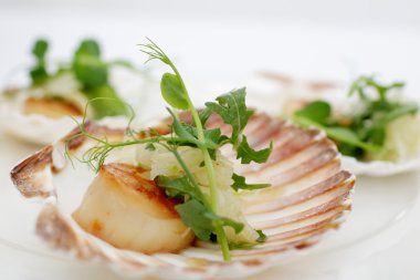 Fistolar, soğan rezene, otlar