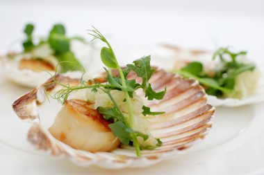 Fistolar, soğan rezene, otlar