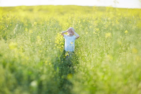 Băiat în luncă de vară înfloritoare — Fotografie, imagine de stoc