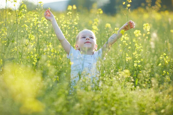 Happy boy v kvetoucí louka — Stock fotografie
