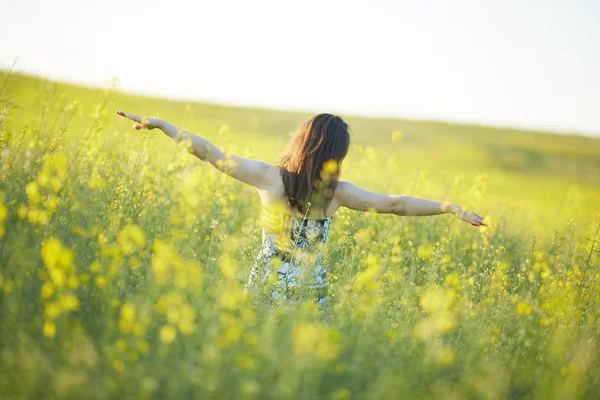 Chica en el campo de floración — Foto de Stock