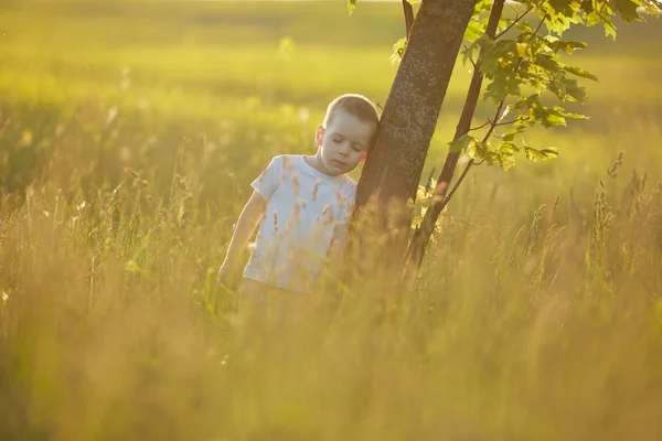 Мальчик на летнем лугу — стоковое фото