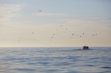 Güzel deniz manzarası