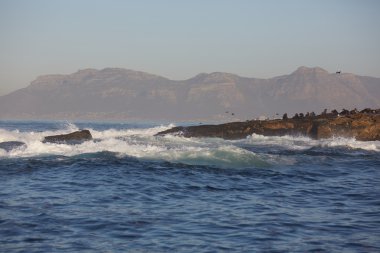 deniz manzara Güney Afrika