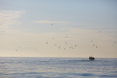 Güzel deniz manzarası