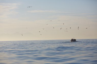 Güzel deniz manzarası