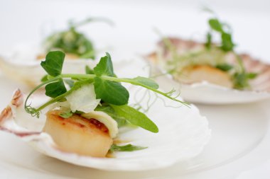 Fistolar, soğan rezene, otlar