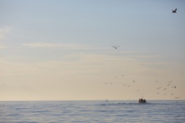 Güzel deniz manzarası