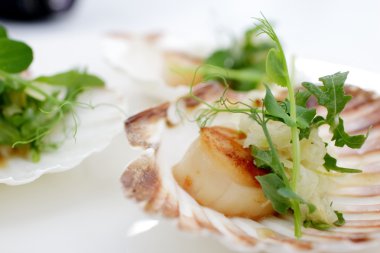 Fistolar, soğan rezene, otlar