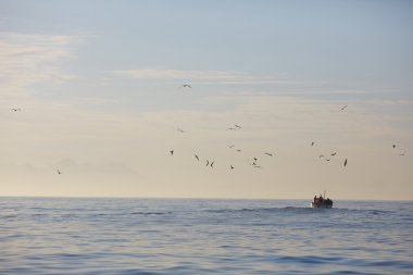 Güzel deniz manzarası