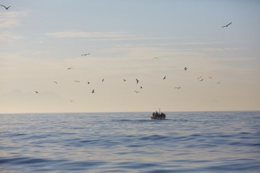 Güzel deniz manzarası