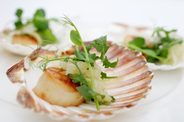 Fistolar, soğan rezene, otlar