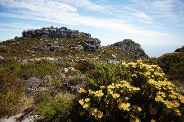 Güney Afrika'da dağ manzarası