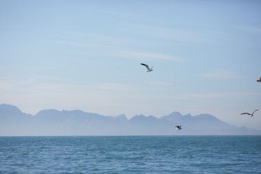 deniz manzara Güney Afrika